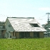 IMG2519