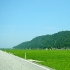 P1030282a